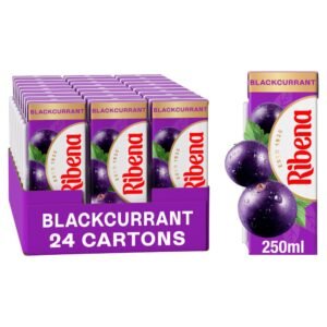 Ribena Blackcurrant Tetra Juice Drink Carton 250ml 250ml × 24 × 1