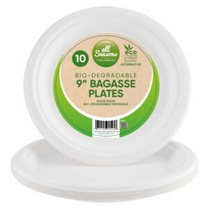 Bagasse Disposable Plates  9 inch 10pk