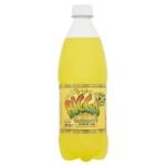 Bigga Pineapple Flavour Soft Drink 600ml×12×1