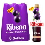 Ribena Blackcurrant Squash 600ml  PM £1.69 600ml × 6 × 1